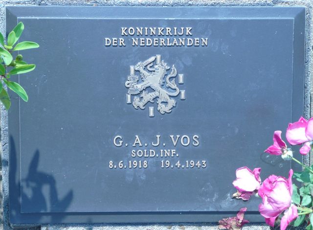 Vos.G.A.J.2008.jpg