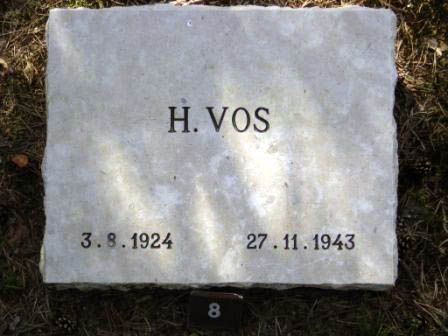 vos.h.2005(1).jpg