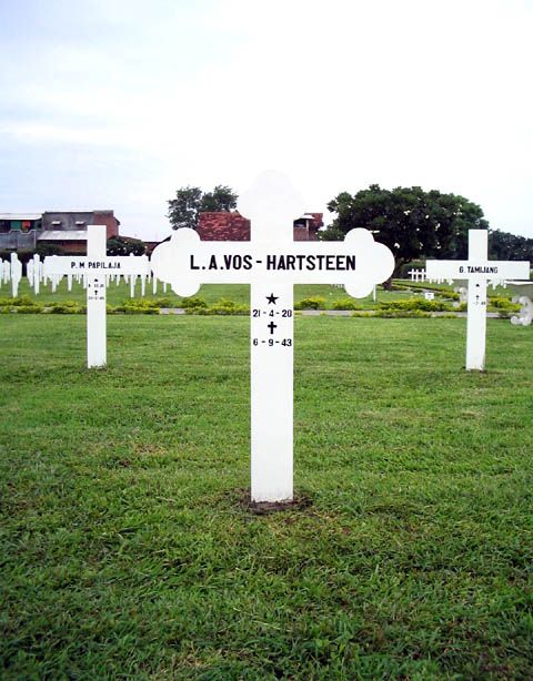 vos hartsteen.l.a.2005.jpg
