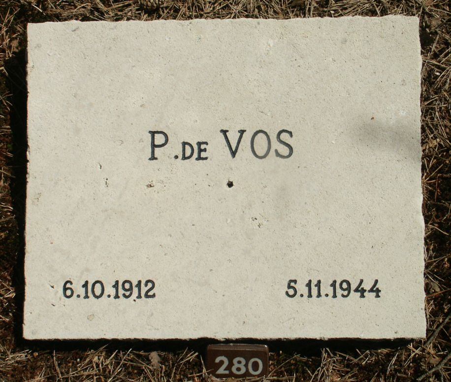 vos.de.p.jpg
