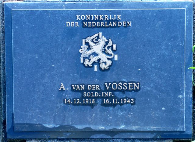 Vossen.A.van.der.2008.jpg