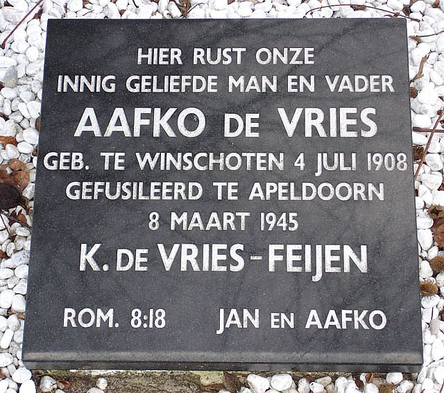 vries.a.de.2008.jpg