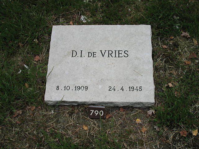 D.I.de Vries.jpg