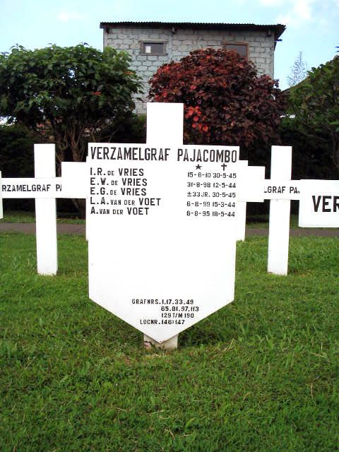vries.de.e.g.2005.jpg