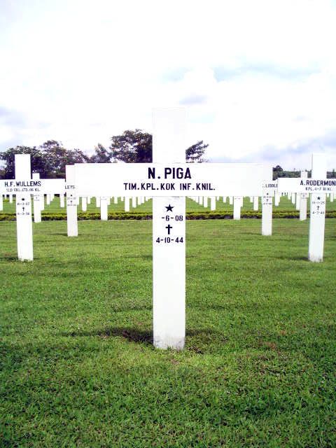 piga.n.2005.jpg