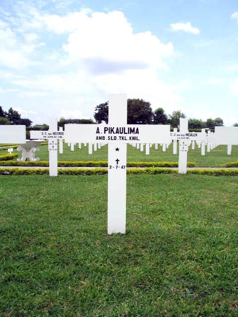 pikaulima.a.2005.jpg