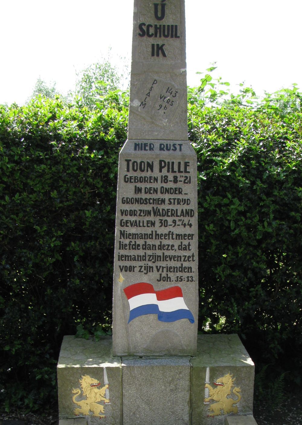 pille.a.h.2009.jpg