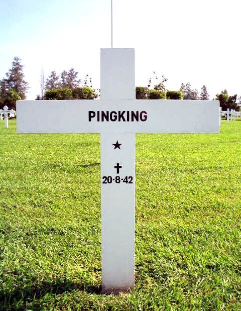 pingking.2004.jpg