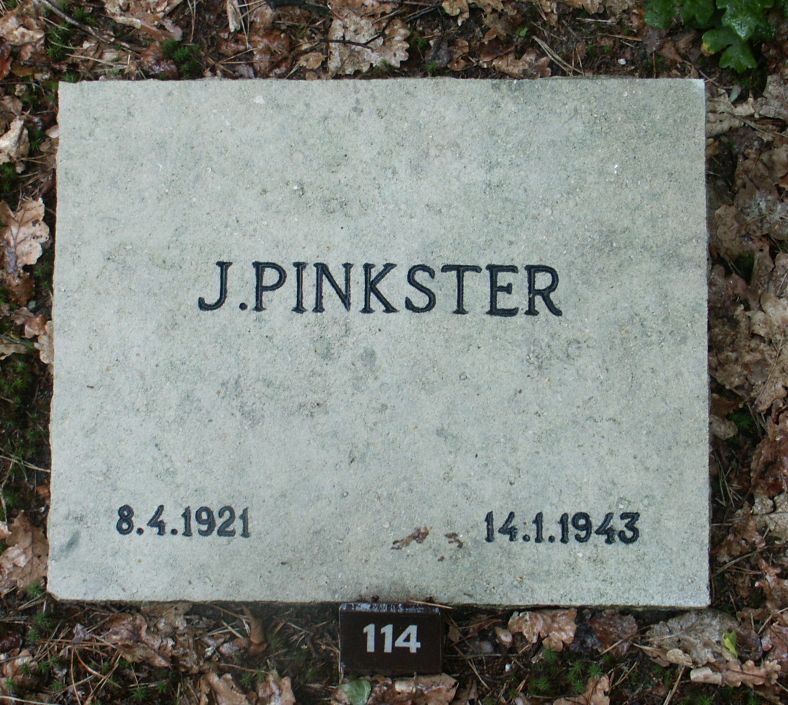pinkster.j.jpg