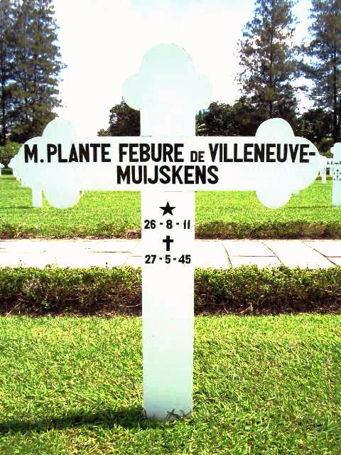 plante febure de villeneuve muijskens m.2004.jpg