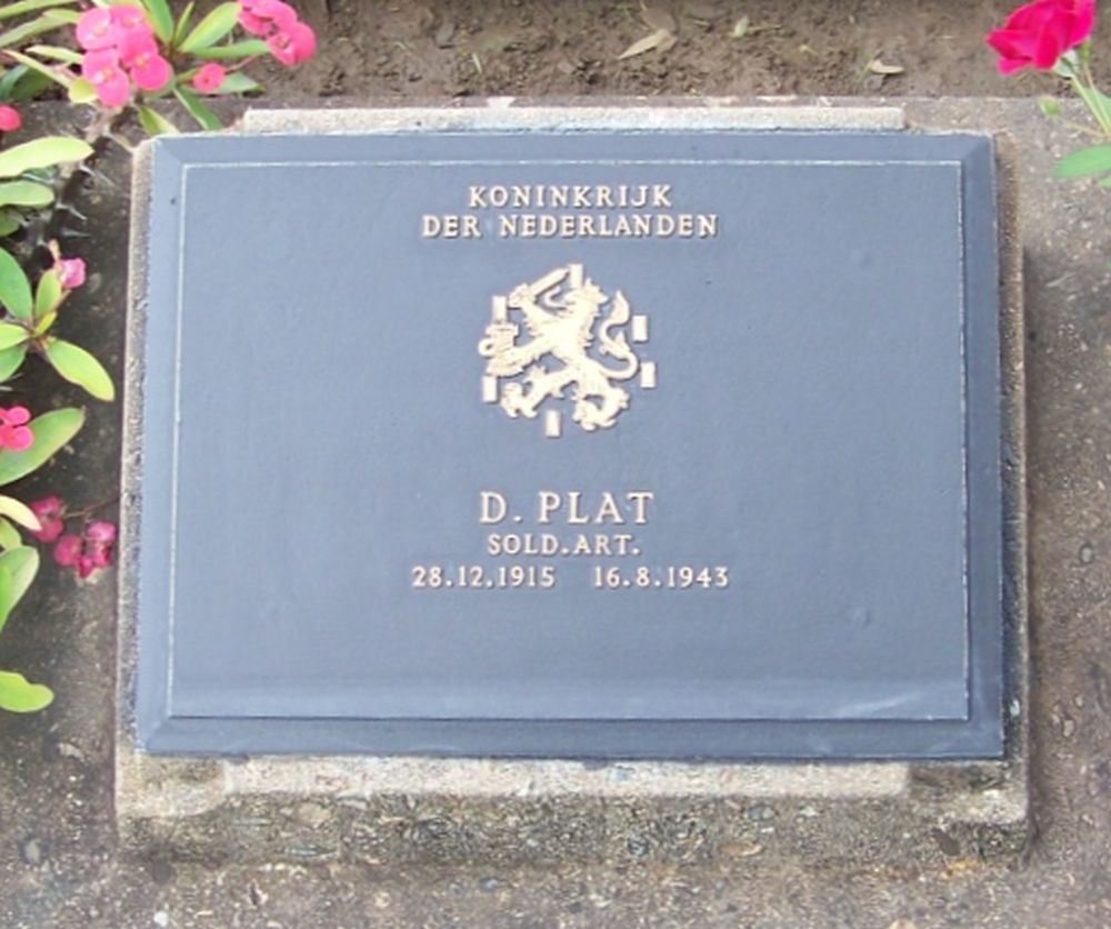 Plat D.jpg