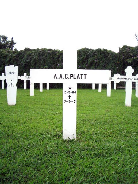platt.a.a.c.2005.jpg