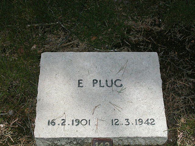 E.Plug.jpg
