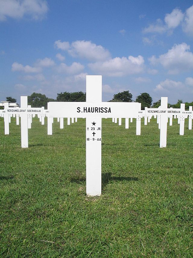 haurissa.s.2005.jpg
