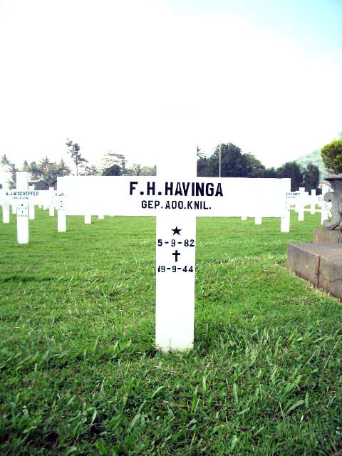 havinga.f.h.2005.jpg