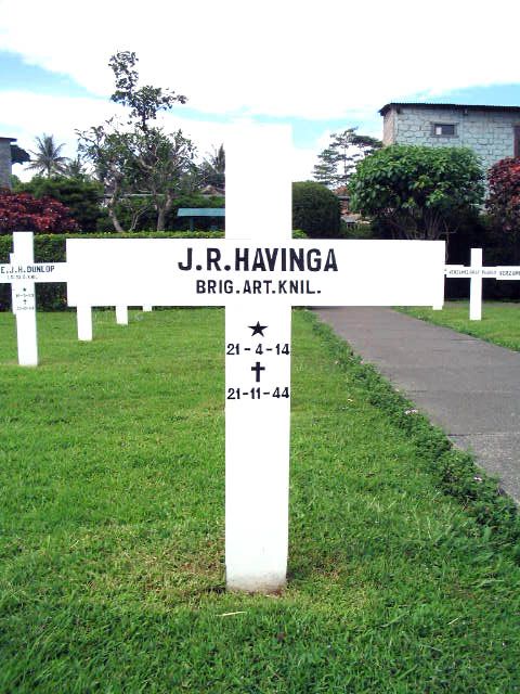 havinga.j.r.2005.jpg