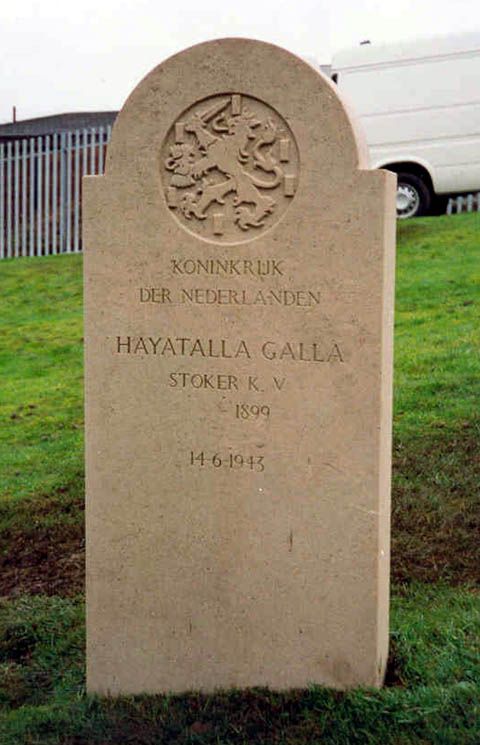 galla.jpg