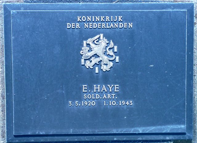Haye.E.2008.jpg