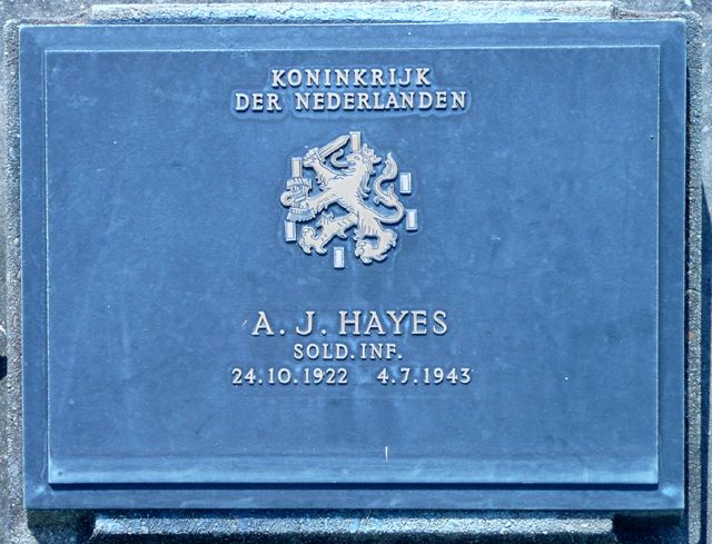 Hayes.A.J.2008.jpg