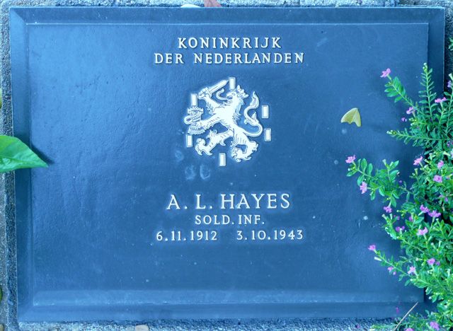 Hayes.A.L.2008.jpg