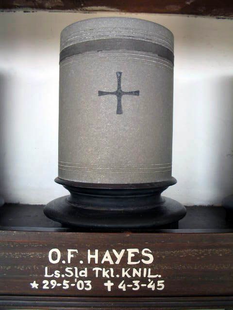 hayes.o.f.2005.jpg