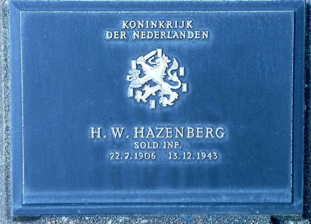 Hazenberg.H.W.2008.jpg