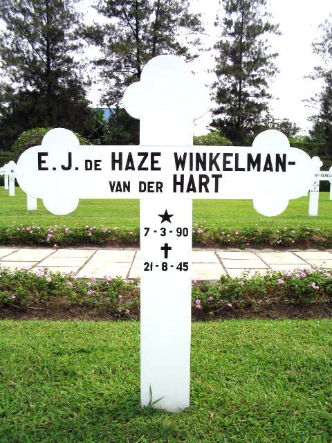haze de winkelman.hart v.der.e.j.2004.jpg