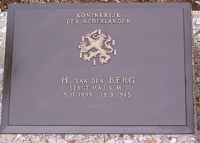 berg.h.van.den.2006.jpg