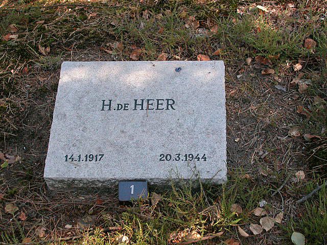 H.de Heer.jpg