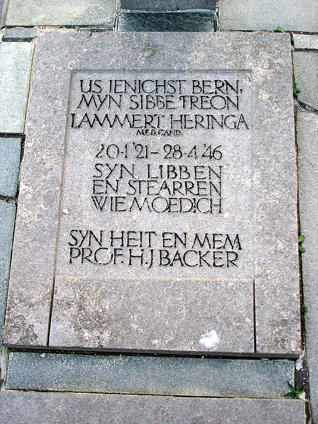 Heeringa.L.jpg