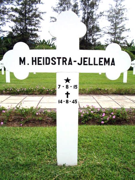 heidstra jellema.m.2004.jpg