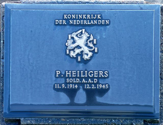 Heiligers.P.2008.jpg