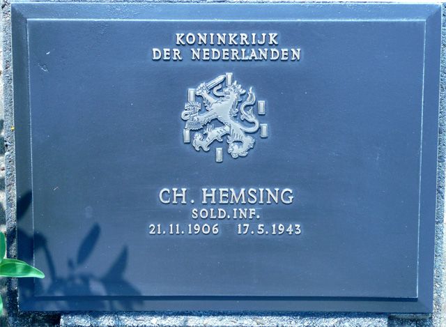 Hemsing.C.2008.jpg