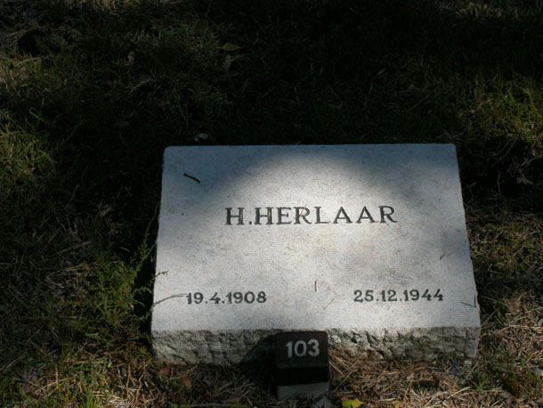 H.Herlaar.jpg