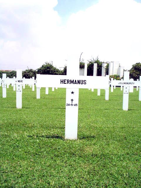 hermanus.2005.jpg