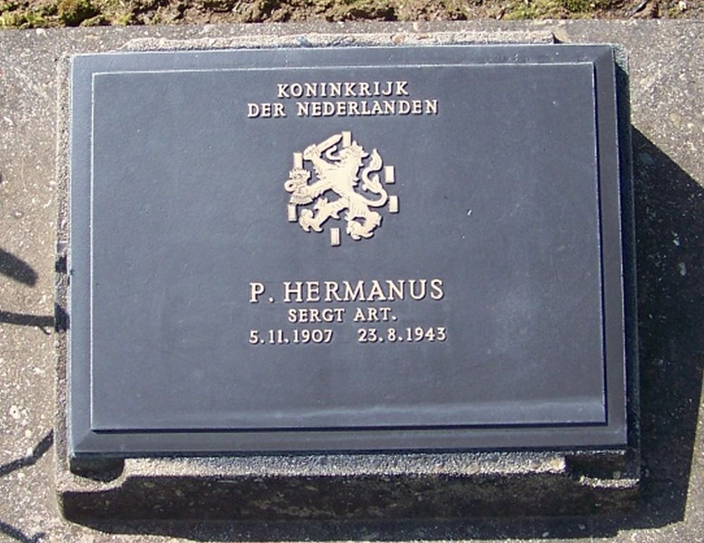 7. F. 50.JPG