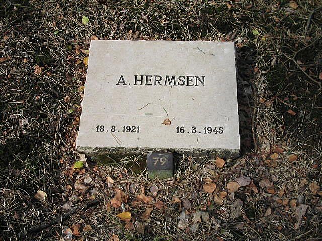 A.Hermsen.jpg