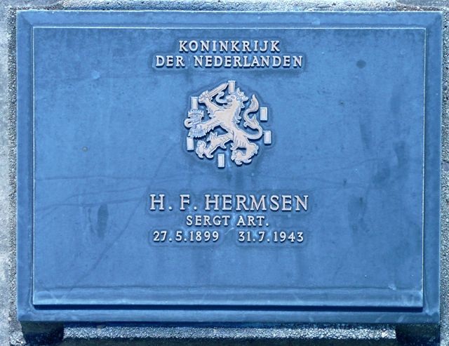 Hermsen.H.F.2008.jpg