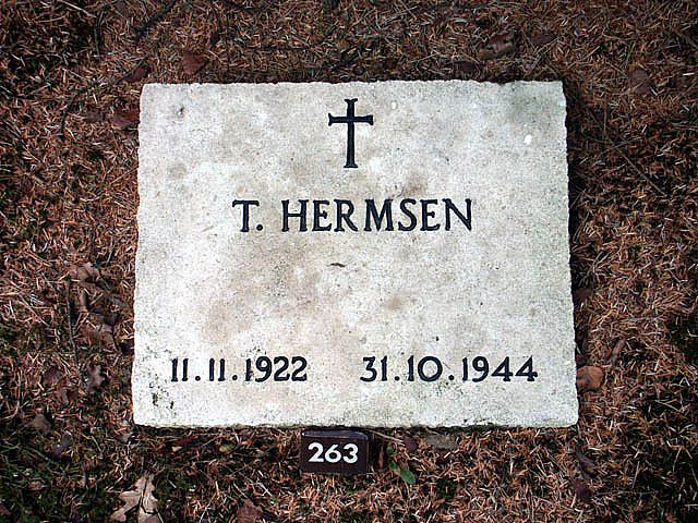 hermsen.t.2005.jpg