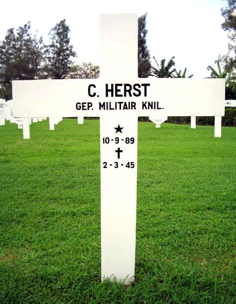 herst c.2004.jpg