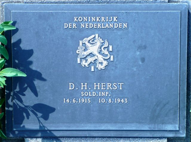 Herst.D.H.2008.jpg