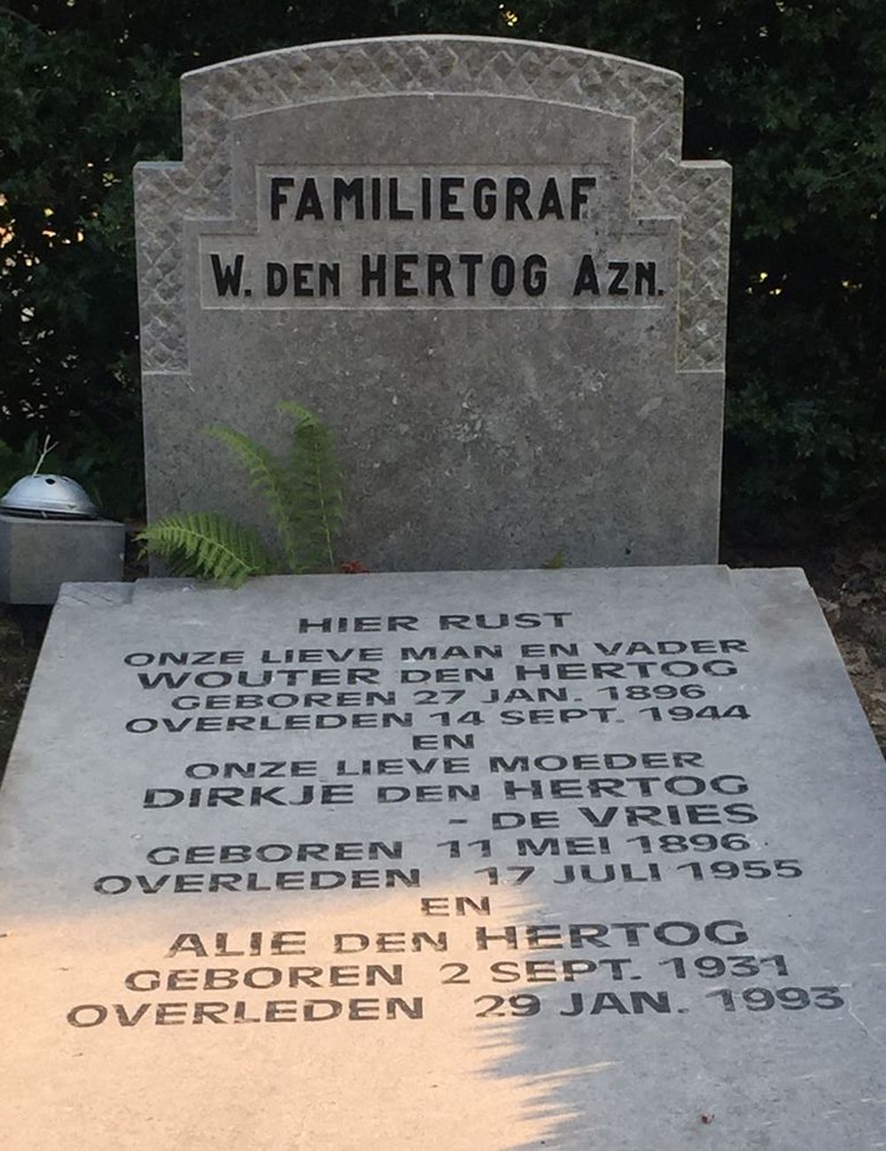hertogh.JPG