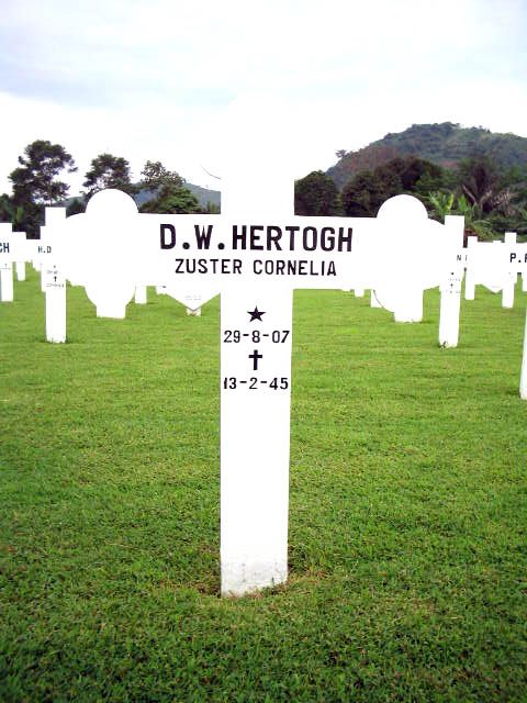 hertogh.d.w.2005.jpg