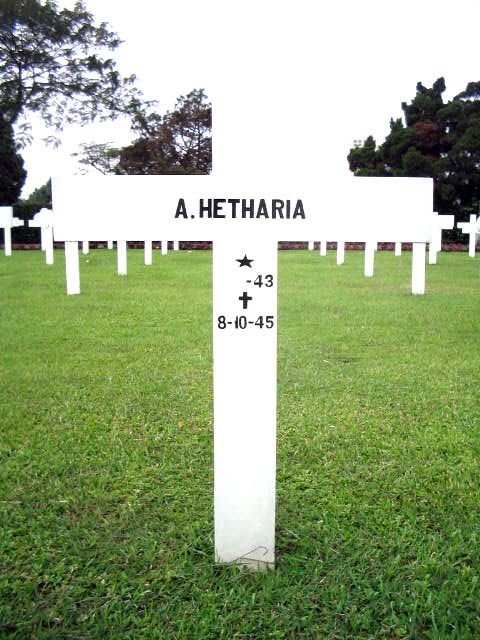 hetharia.a.2005.jpg