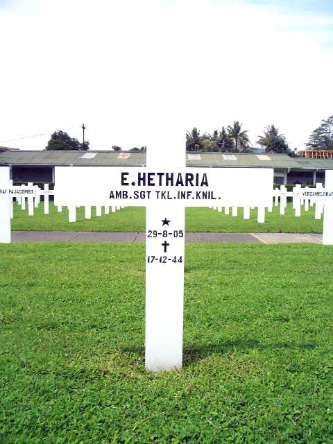 hetharia.e.2005(1).jpg