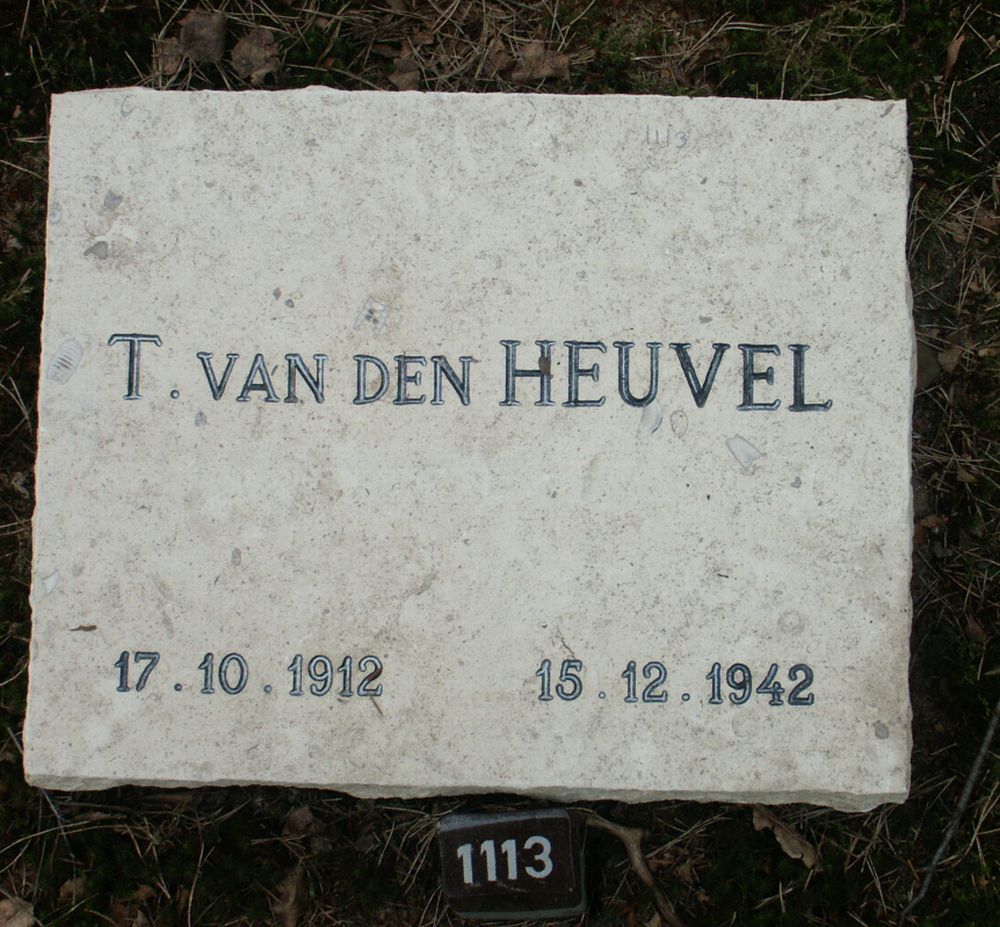 heuvel.t.van.den.2006.jpg