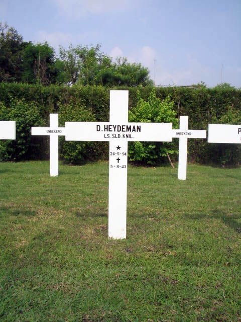 heydeman.d.2005.jpg