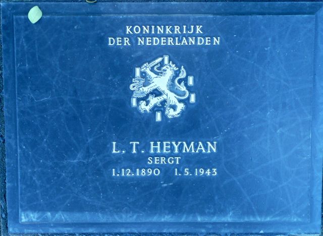 Heyman.L.T.2008.jpg