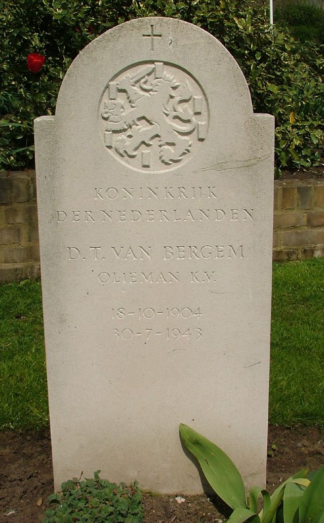 bergem van d.t. 2008.jpg