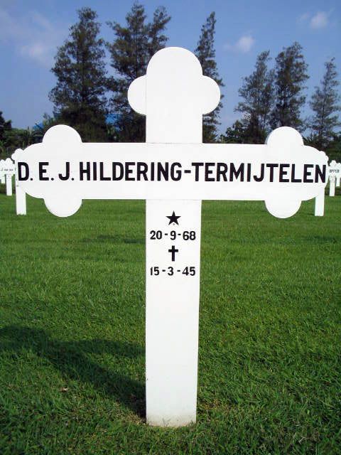 hildering termijtelen.d.e.j.2004.jpg